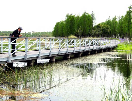 Wusong Riverfront Pilot Project