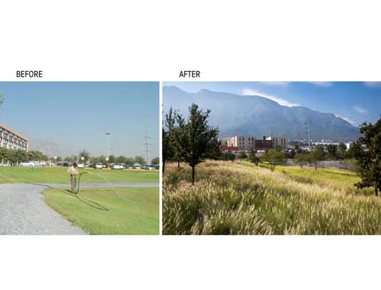 A New Campus Creation: Universidad De Monterrey