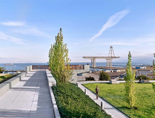 Hunters Point Shipyard Hillpoint Park: A Room With a View