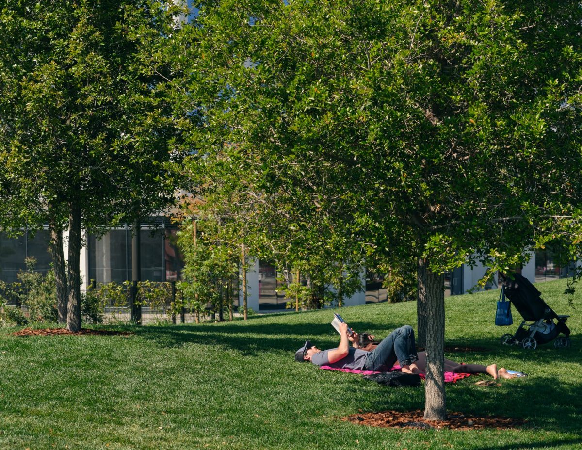 China Basin Park: A New Public Realm - ASLA Northern California Chapter