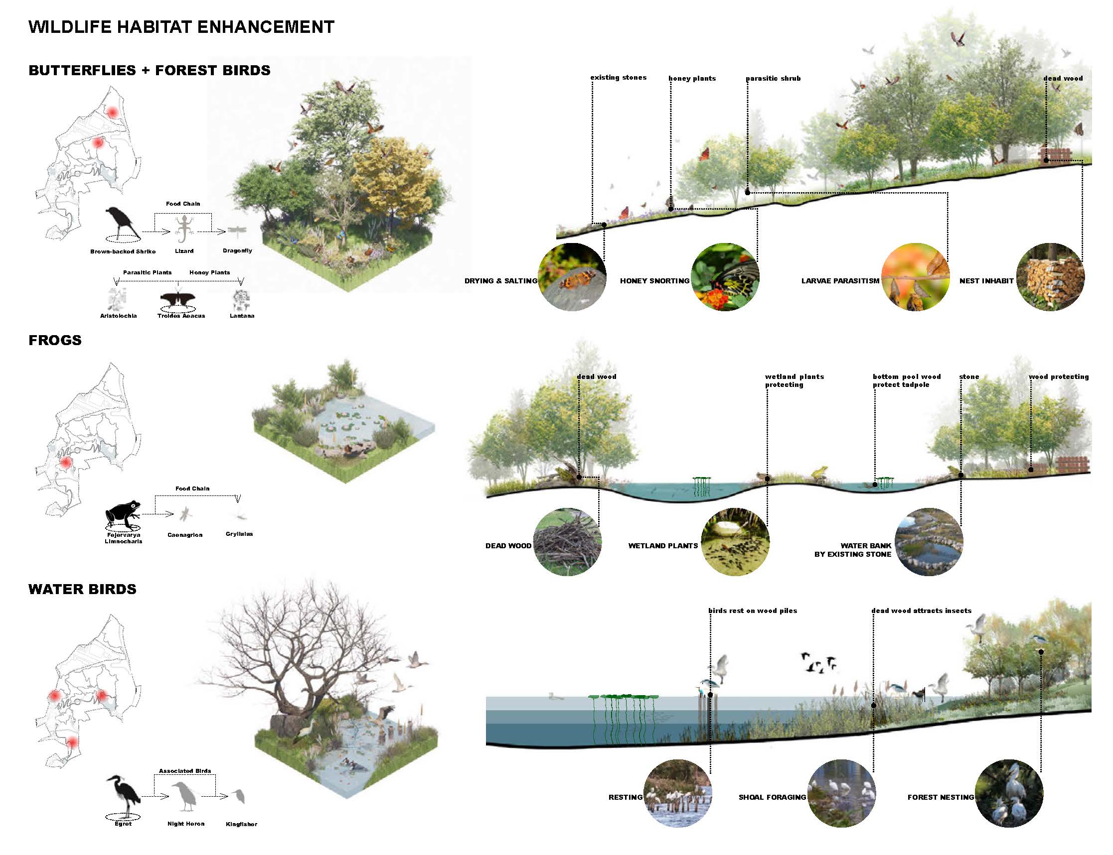Leetow Mountain Ecology Restoration & Recreation Planning_Page_05