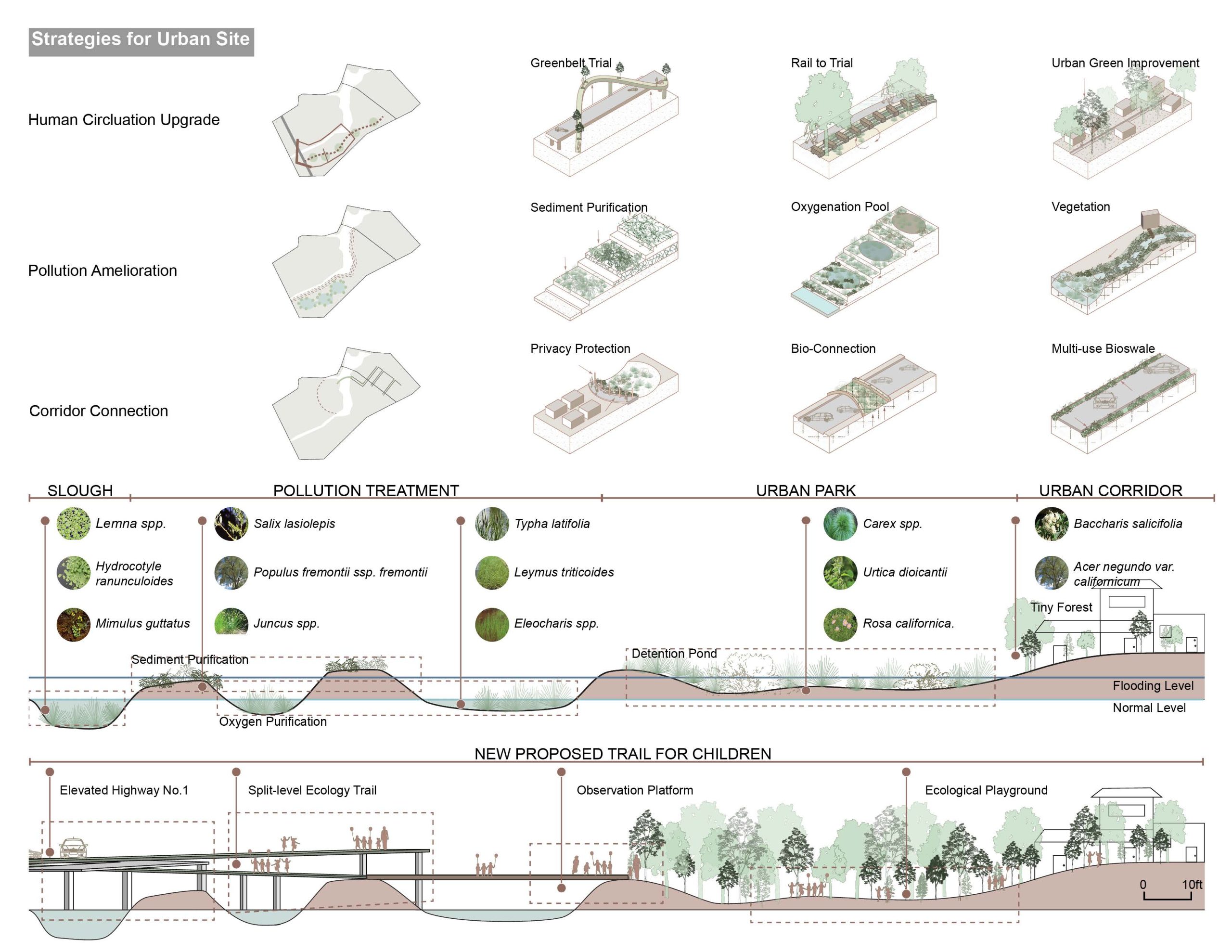 Stitching More Than Human_Page_05