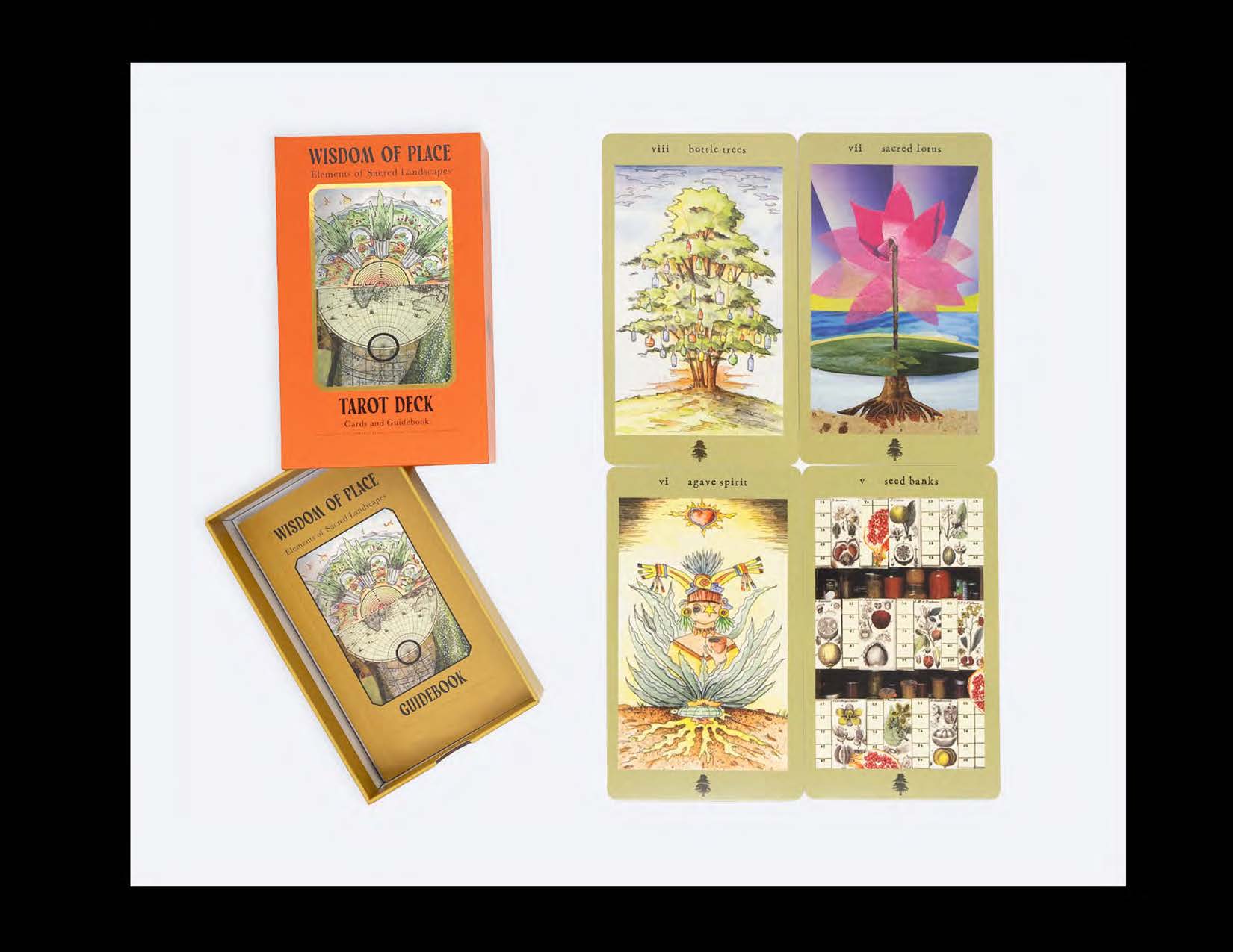 Wisdom of Place Elemental Landscapes_Page_4