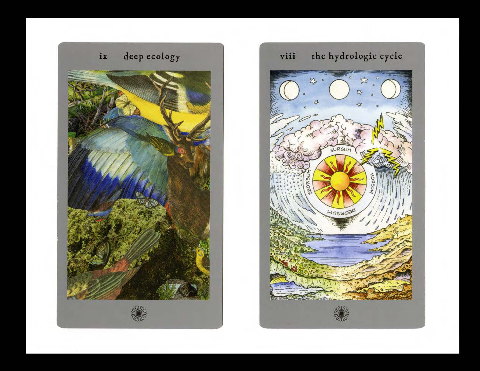 Wisdom of Place Elemental Landscapes_Page_5