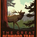 The Great Redwood Trail Agency